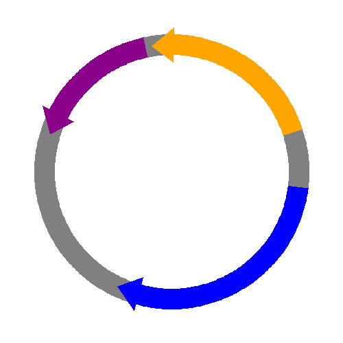 Plasmid